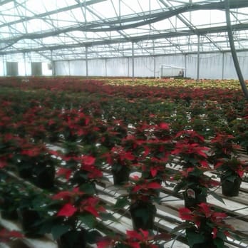 Gaddis Nursery - Wholesale Stores Near Me - Santa Rosa, California Gaddis Nursery - Wholesale Stores Near Me - Santa Rosa, California