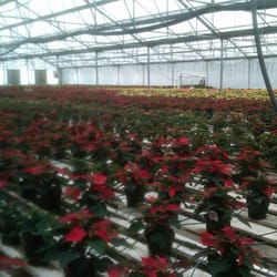 Gaddis Nursery