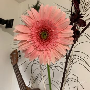 Boise At Its Best - Florists Near Me - Boise, Idaho Boise At Its Best - Florists Near Me - Boise, Idaho