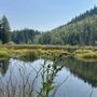 Photo of Green Mountain State Forest
