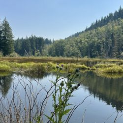 Green Mountain State Forest