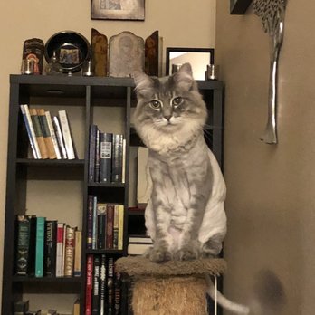 TAMI&rsquo;S TENDER TOUCH - Updated January 2025 - 62 Photos &amp; 94 