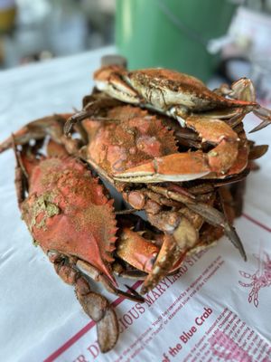 The Crab Claw by null