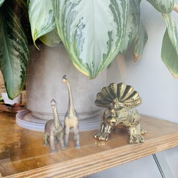 Dinosaur Coffee - Vibes - Coffee & Tea Near Me - Los Angeles, California