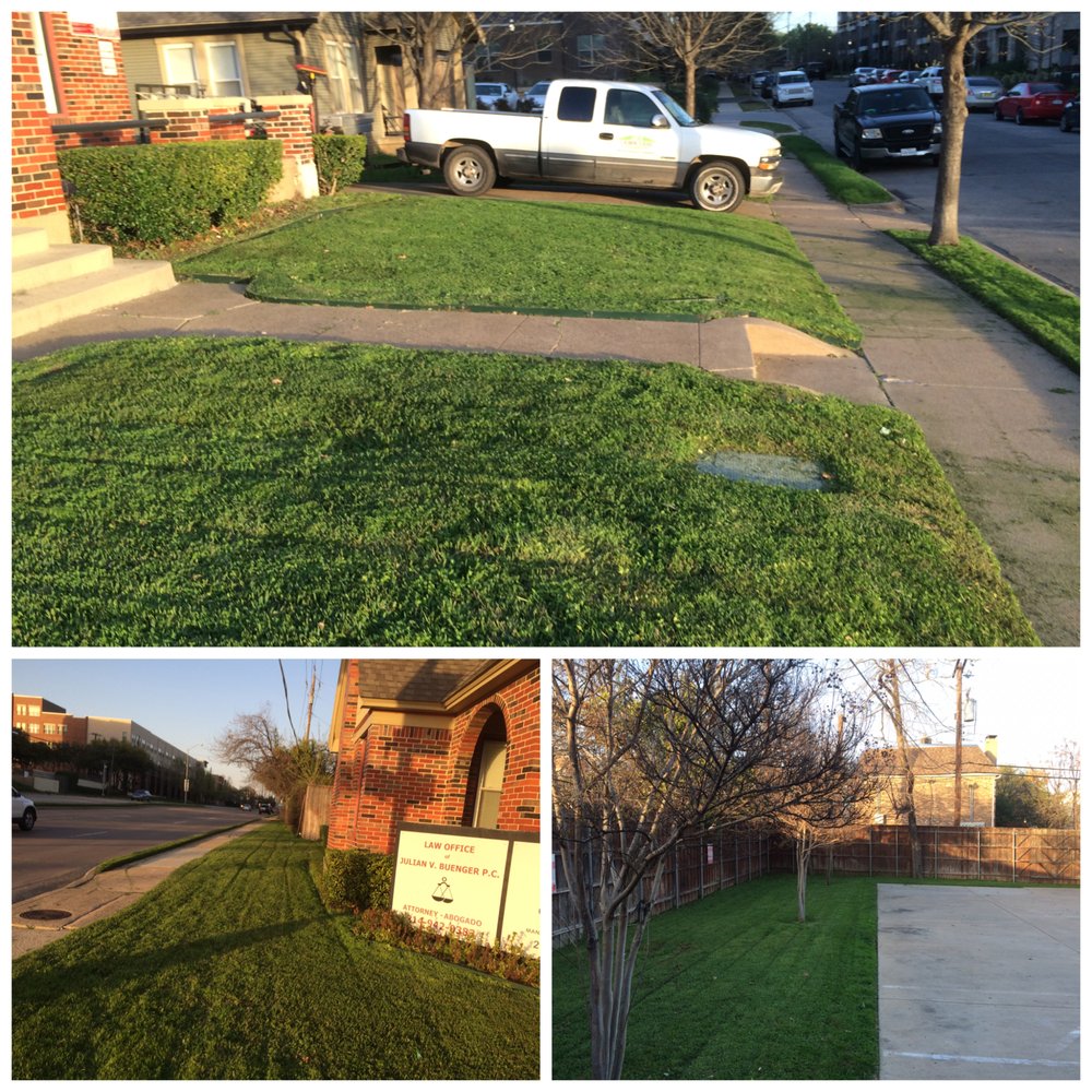 JD’S LAWN CARE Updated October 2024 13 Photos Dallas, Texas