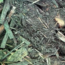 Lee Rowan's Gardenworld - This is the quality of the firewood