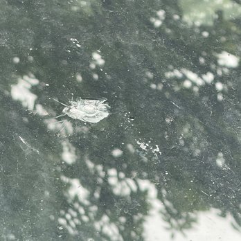Safelite AutoGlass - 6.14.25 - Auto Glass Services Near Me - Columbia, Maryland Safelite AutoGlass - 6.14.25 - Auto Glass Services Near Me - Columbia, Maryland