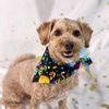 Paws Pet Resort gift card