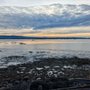 Photo of Skagit Wildlife Area