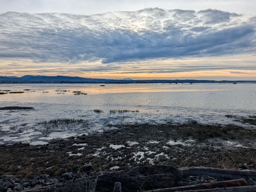 Skagit Wildlife Area Image