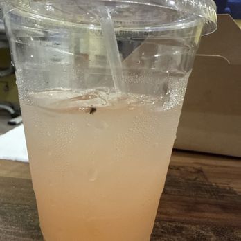 Press 195 - Bayside - Sealed drink with a fly - Sandwiches Near Me - Bayside, New York