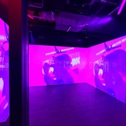 Immersive Gamebox - Palisades Center