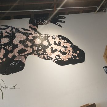 Gravity Bound Brewing - Brewpubs Near Me - Albuquerque, New Mexico