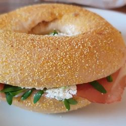 Mothers Fine Coffee - "David Bagel" - Frischkäse, Honig, Schinken, Kresse