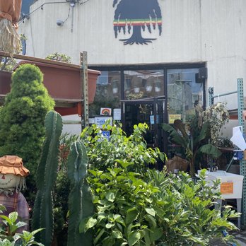 Natty Garden - Nurseries & Gardening Near Me - Brooklyn, New York