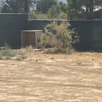Nevada Realty - Dog house - Real Estate Services Near Me - Pahrump, Nevada Nevada Realty - Dog house - Real Estate Services Near Me - Pahrump, Nevada