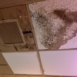 Black mold on ceiling