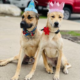 Duke and Hazel Duke and Hazel