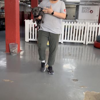 Bronx Barx - Pet Training Near Me - Bronx, New York