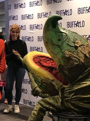 Shea's 710 Theatre by null