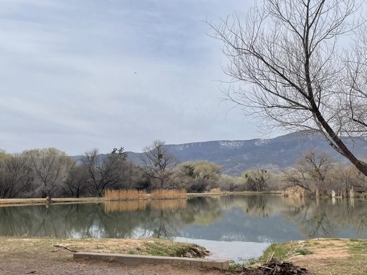 Dead Horse Ranch State Park by null