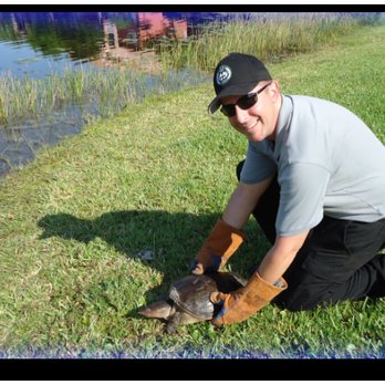 Animal Rangers - Pest Control Near Me Animal Rangers - Pest Control Near Me