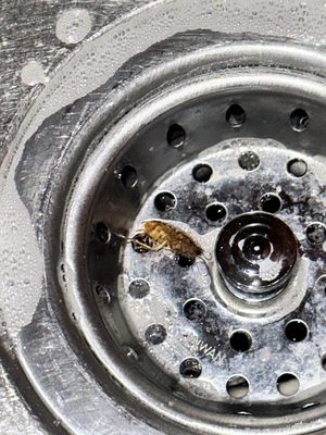 Asap Management Service