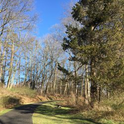Irwin Park - The trail