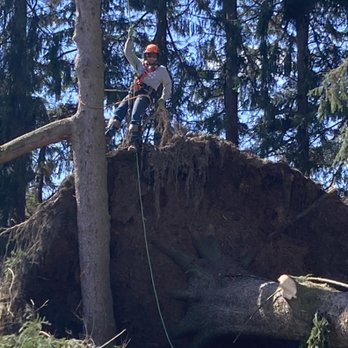Grays Landscaping - a man cutting a tree with a chainsaw - Tree Services Near Me Grays Landscaping - a man cutting a tree with a chainsaw - Tree Services Near Me