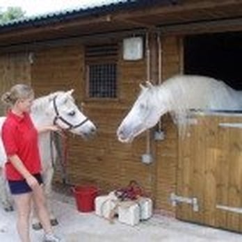 Cardiff Riding School - Photo from Local Authority's website: http://www.cardiff.gov.uk - Horseback Riding Near Me - Cardiff, CRF