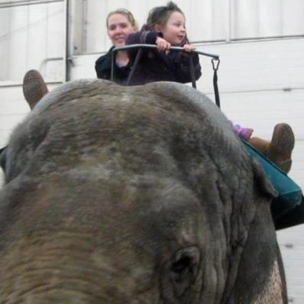 Thanks for the tickets Bruce. Addie had a Blast !!! Thanks for the tickets Bruce. Addie had a Blast !!!