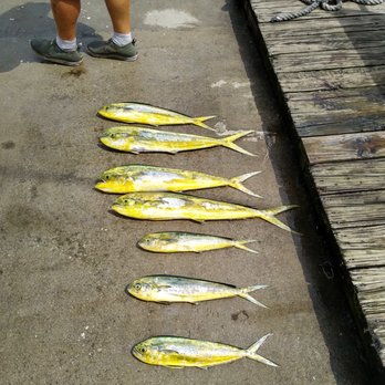 Phideaux Fishing - The Mahi - Fishing Near Me - Nags Head, North Carolina Phideaux Fishing - The Mahi - Fishing Near Me - Nags Head, North Carolina