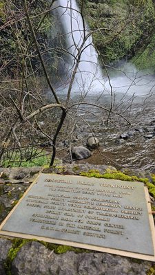 Horsetail Falls by null