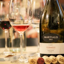 Tannat - Degustación de vinos y presentación de bodega en mayo de 2017 | Wine tasting and cellar presentation on May 2017