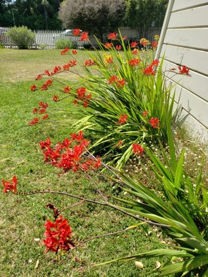 Pardee Home Museum by null