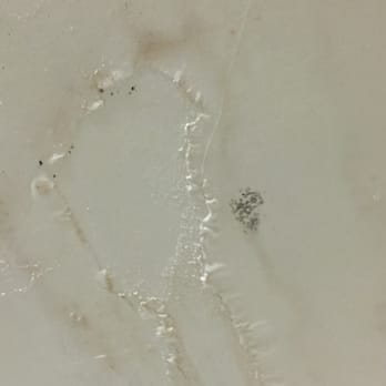 Harrah's Laughlin - A Caesars Rewards Destination - Black mold eww - Hotels Near Me - Laughlin, Nevada