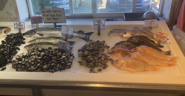 Key City Fish Company by null