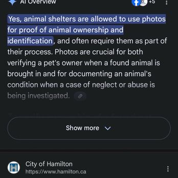 Hamilton/Burlington Spca - This is for if you can use photos to prove ownership and that what I did and they still didn't give him back. - Animal Shelters Near Me - Hamilton, Ontario Hamilton/Burlington Spca - This is for if you can use photos to prove ownership and that what I did and they still didn't give him back. - Animal Shelters Near Me - Hamilton, Ontario