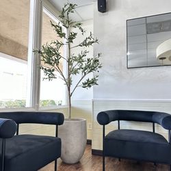 Adonis Plastic Surgery - Lobby
