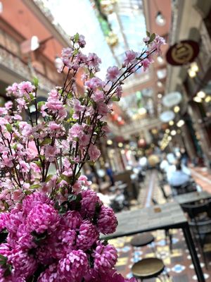 The Strand Arcade by null