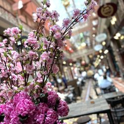 The Strand Arcade