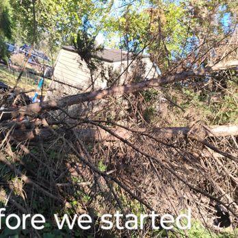 Tree Life - Tree Services Near Me - Spartanburg, South Carolina Tree Life - Tree Services Near Me - Spartanburg, South Carolina