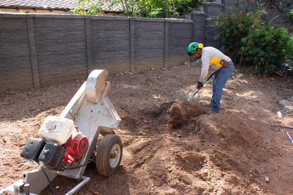 Trunk Grinding & Removal - Favor Tree Care specializes in residential and commercial pruning/trimming, tree removal, stump grinding, brush clearing, hedge pruning, palm trimming. Call or text photos of tree to (714) 395-9495 to get a quote. Favor Tree Care is ISA certified. Every project is treated with the highest level of professionalism to ensure you are heard, and we can deliver the highest expectations.