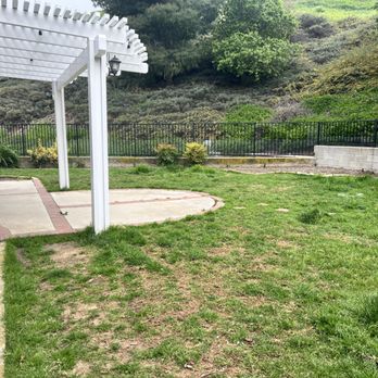 California SynTurf - Artificial Turf Near Me California SynTurf - Artificial Turf Near Me