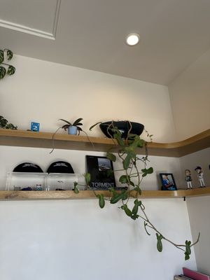 Heavy Water Coffee Shop by null