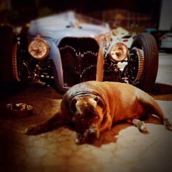 Clutch - HUGE DOG out front!!!! Ties it all together! - Mexican Near Me - Venice, California