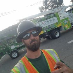 A-1 Tree Service & Stump Removal - Chad , Lead climber