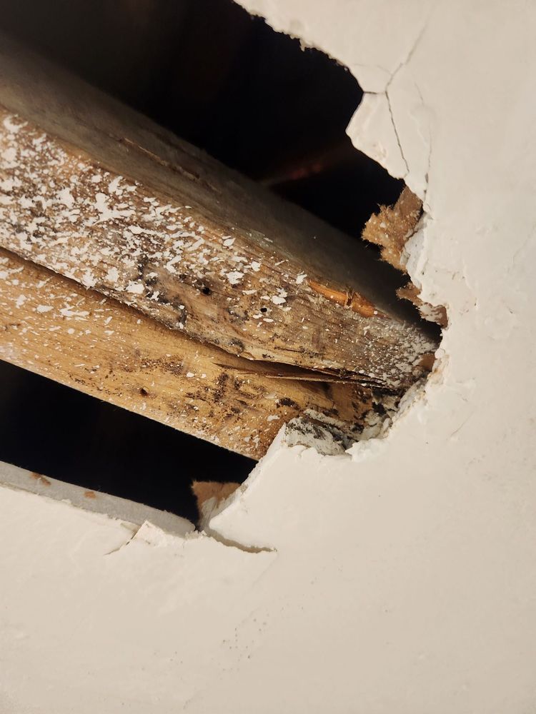 ZEAL PROPERTY MANAGEMENT Updated September 2024 13 Reviews 400 W