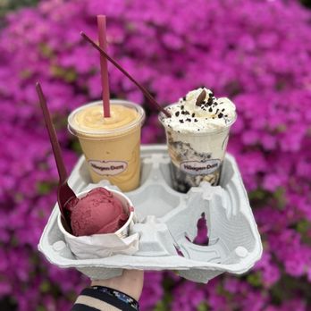 Häagen-Dazs - Small size mango smoothie, cookies and cream sundae, regular size, mini blueberry, lemon sorbet - Ice Cream & Frozen Yogurt Near Me - Gaithersburg, Maryland Häagen-Dazs - Small size mango smoothie, cookies and cream sundae, regular size, mini blueberry, lemon sorbet - Ice Cream & Frozen Yogurt Near Me - Gaithersburg, Maryland