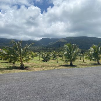 Ula Ula Cafe - The beautiful farm behind the food truck. - Food Trucks Near Me - Wailuku, Hawaii Ula Ula Cafe - The beautiful farm behind the food truck. - Food Trucks Near Me - Wailuku, Hawaii